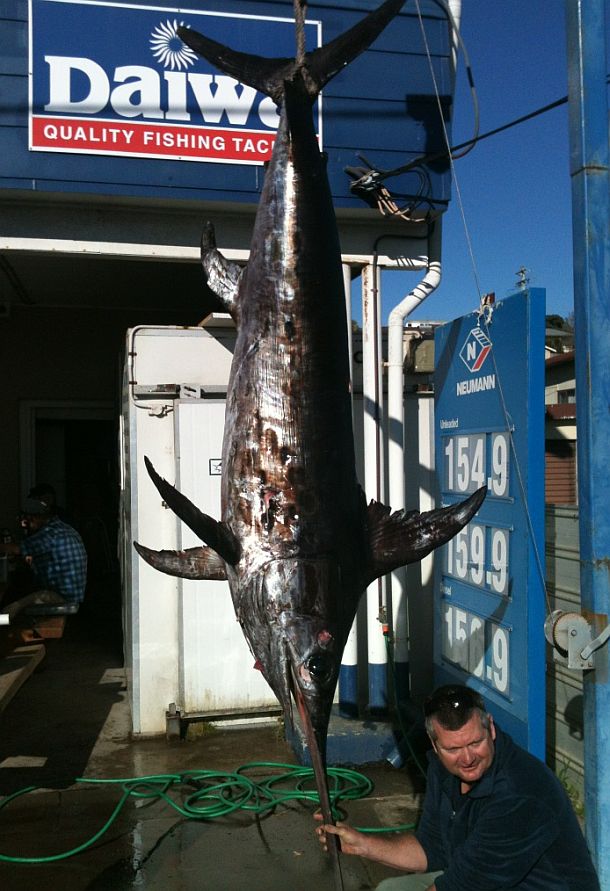 Trailerboat angler scores Bermi broadbill